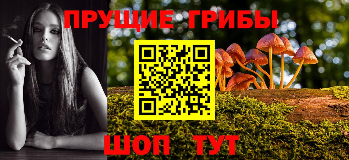 Галлюциногенные грибы Psilocybine cubensis  Вход с VPN  Обь  Псилоцибиновые грибы MAGIC MUSHROOMS 