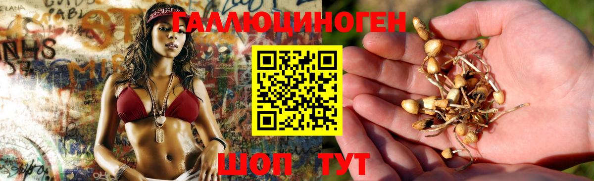 Галлюциногенные грибы мицелий Обь