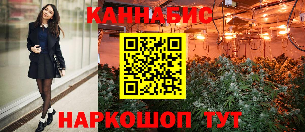 Бошки марихуана White Widow  Вход с VPN  Обь  Канабис сатива 